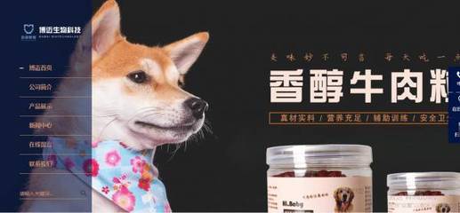 高密博*生物科技寵物食品銷售網(wǎng)站建設(shè)全流程解析